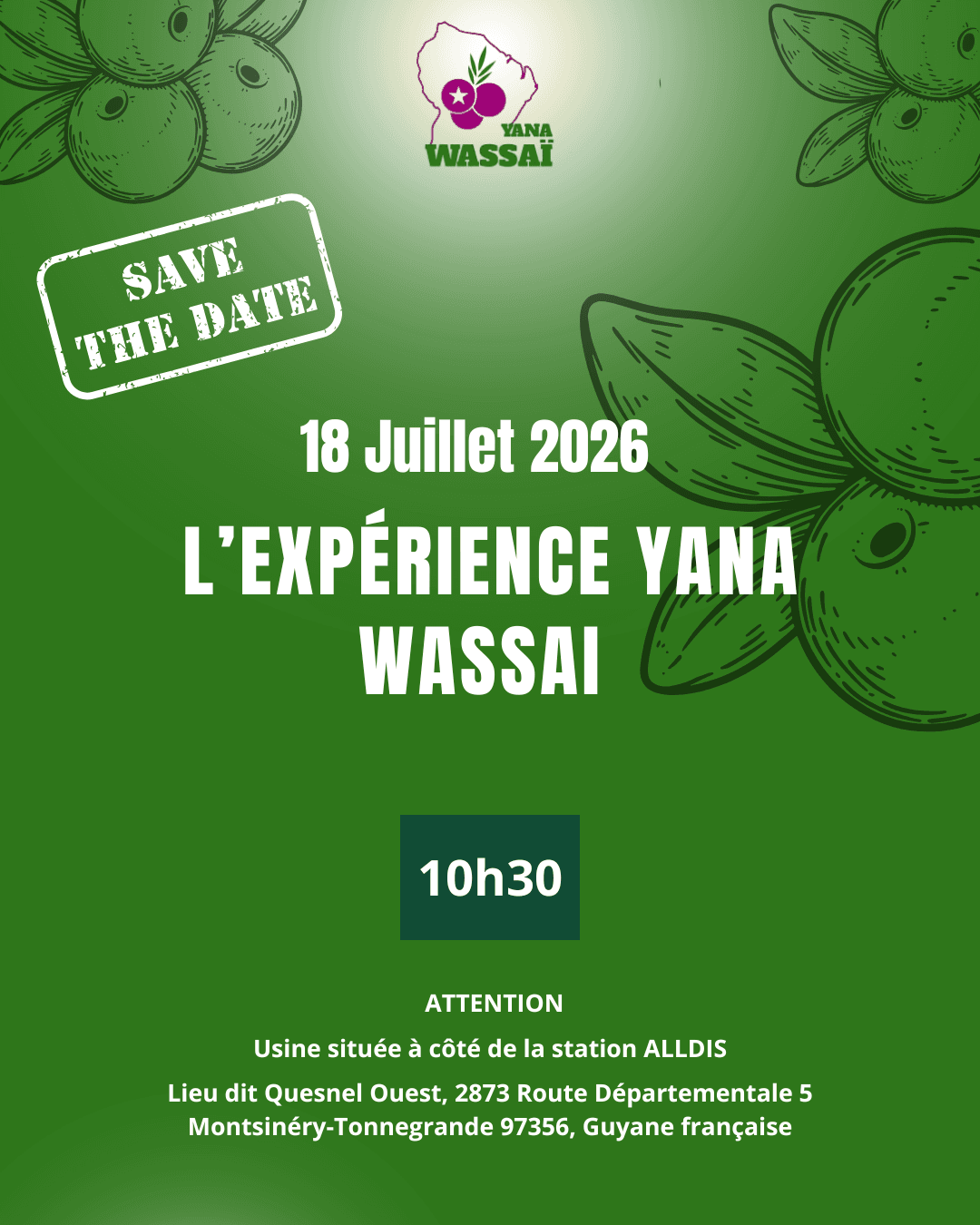 Explorez l’univers Yana Wassai #Juillet2026