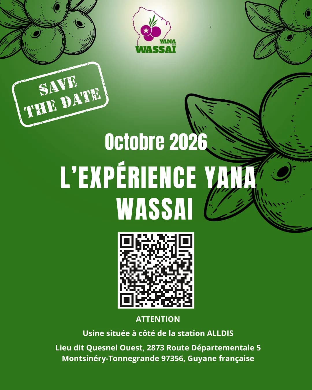 Explorez l’univers Yana Wassai #Octobre2026