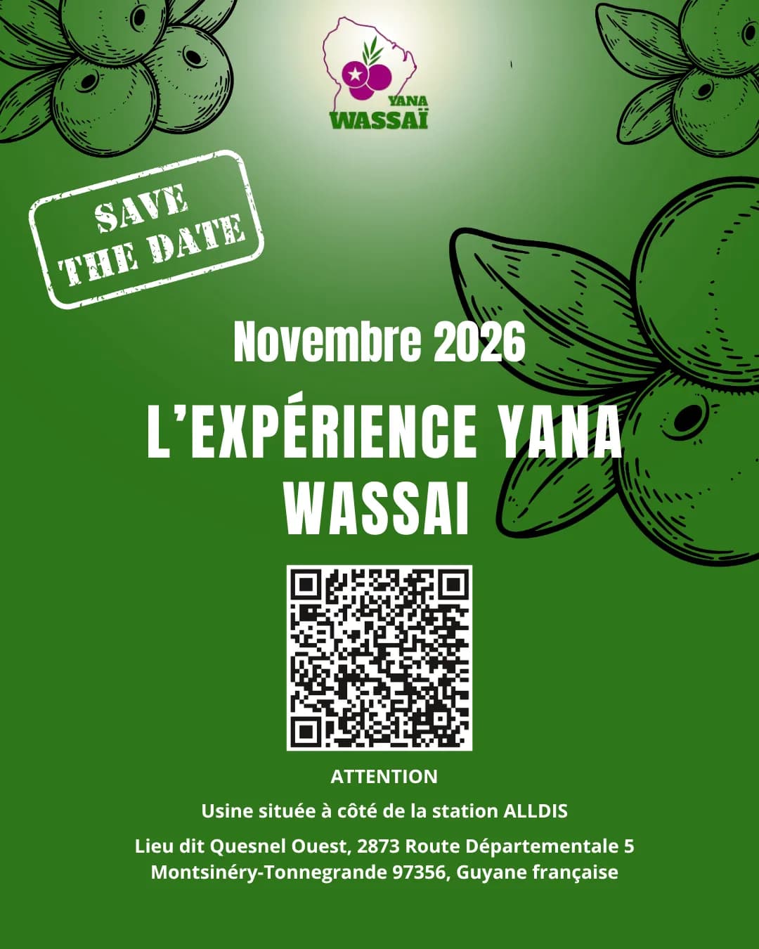 Explorez l’univers Yana Wassai #Novembre2026
