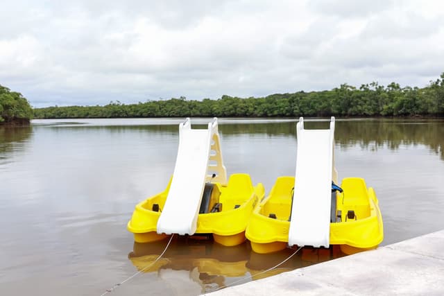 Location de pédalos et trottinettes, Base nautique Terre Rouge, lieu-dit Terre Rouge, Montsinéry-Tonnegrande — photo 2