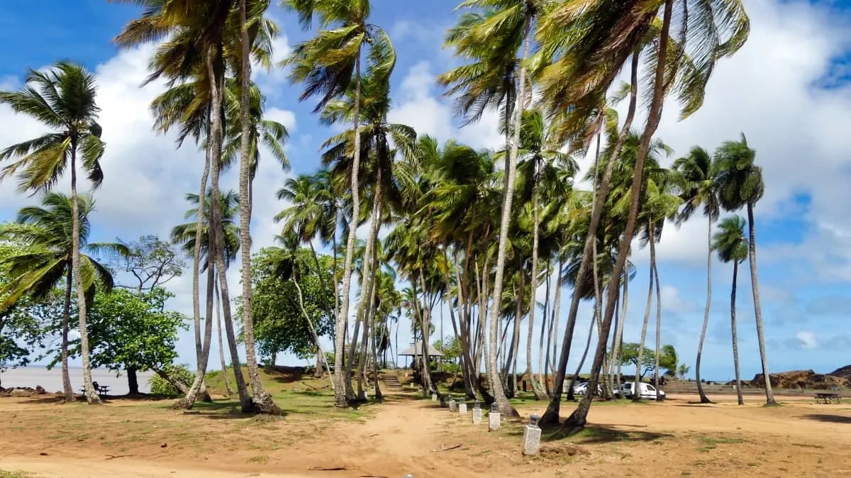 Voyage en Guyane : guide pratique pour une aventure au cœur de l’Amazonie française