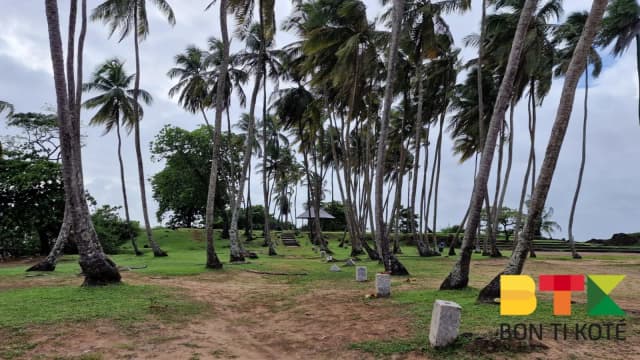 La pointe Buzaré, Cayenne — photo 2