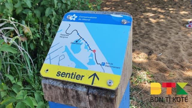 Les Salines de Montjoly, Remire-Montjoly — photo 3