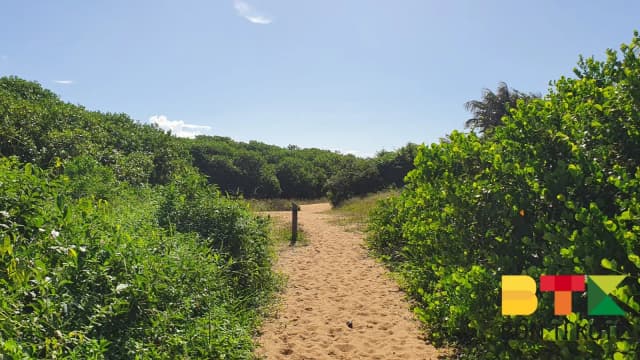 Les Salines de Montjoly, Remire-Montjoly — photo 5
