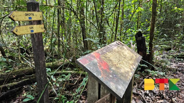 Sentier du Coq de Roche, Roura — photo 4