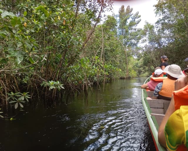 Partez à l'aventure à Crique Gabriel, Roura 97352, French Guiana — photo 2