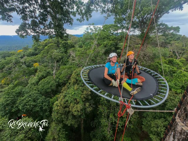 Exploration Grands Arbres, Rekawnexion PK30 Route de kaw, Roura 97351, French Guiana — photo 1