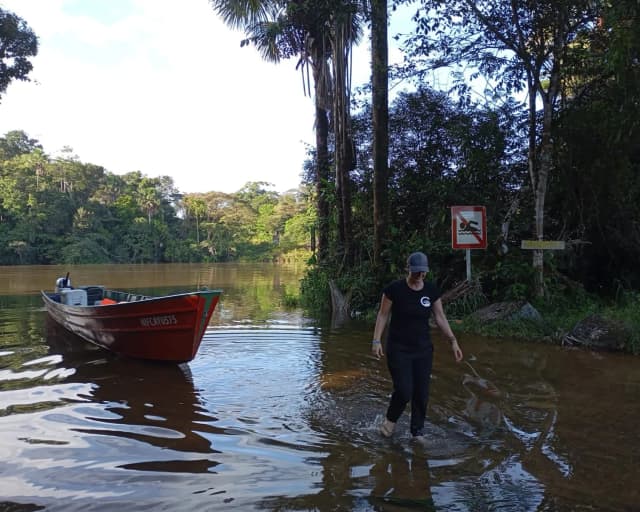Partez à l'aventure à Crique Gabriel, Roura 97352, French Guiana — photo 3