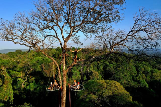 Exploration Grands Arbres, Rekawnexion PK30 Route de kaw, Roura 97351, French Guiana — photo 3