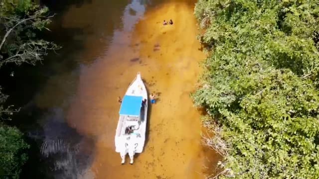 Privatisez un bateau avec skipper et partez à la découverte du fleuve en Guyane jusqu’à Cacao, Marina de degrad des cannes — photo 2