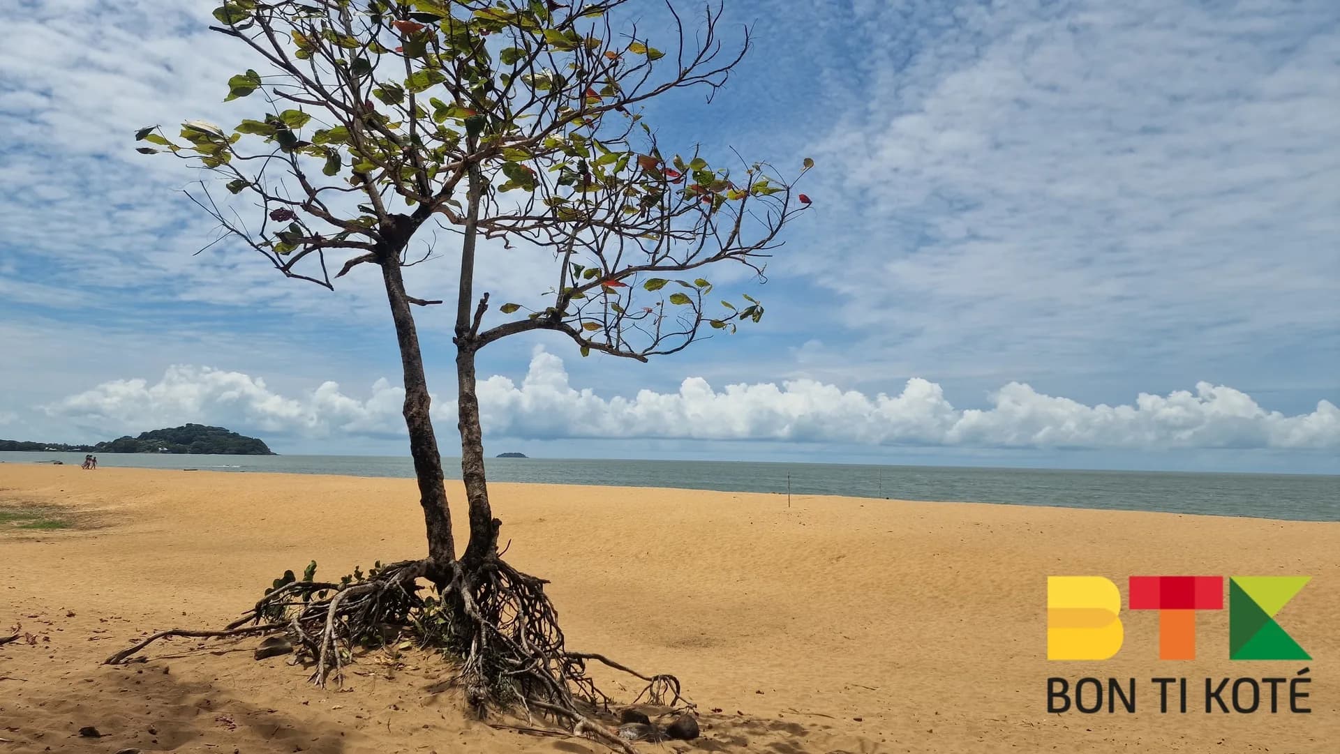 Focus sur la Plage de Gosselin