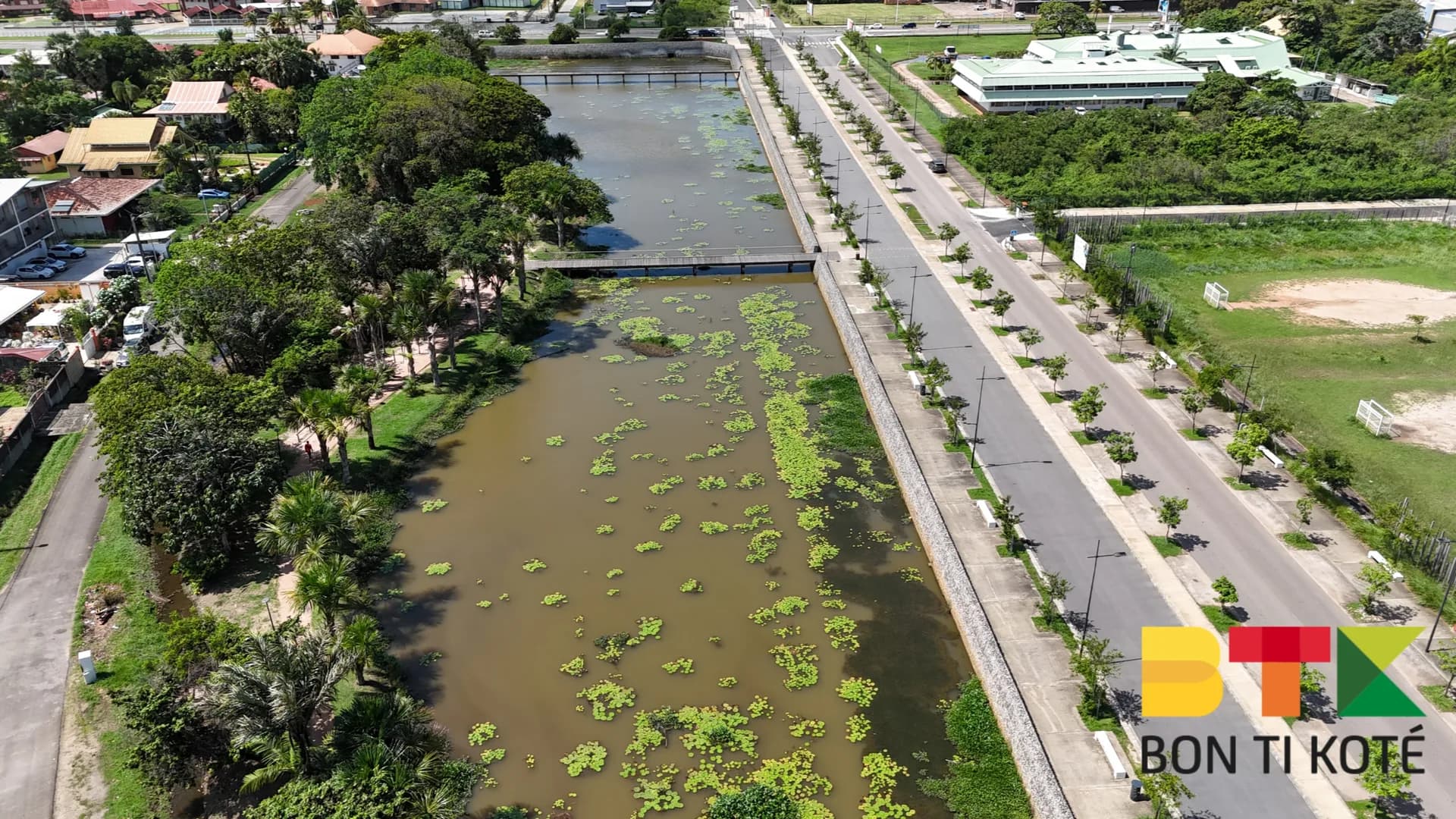 Le quartier Ibiscus à Cayenne : Un lieu de vie agréable et animé