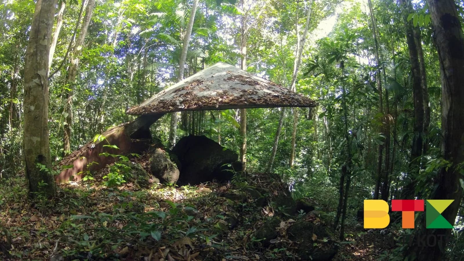 Montagne Favard : la roche gravée amérindienne de Kaw