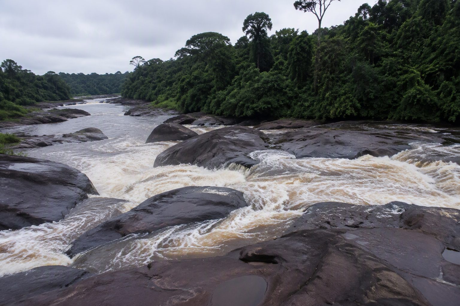 Rapides d'un fleuve tropical coulant entre des rochers sombres, forêt dense sur les berges