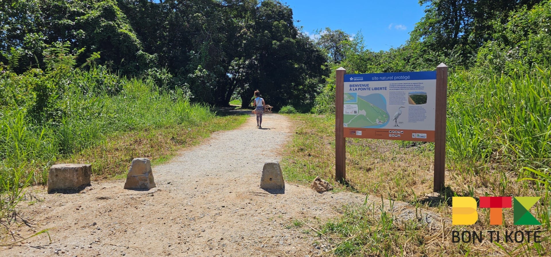 Sentier de la pointe Liberté, Macouria — photo 4