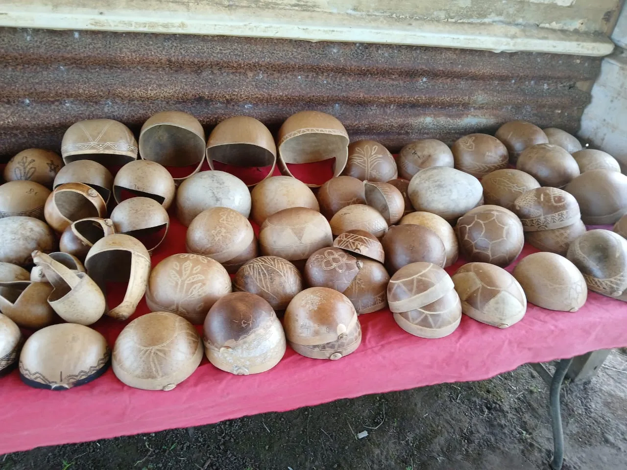 Atelier de calebasse traditionnelle palikur, Village Norino — photo 1