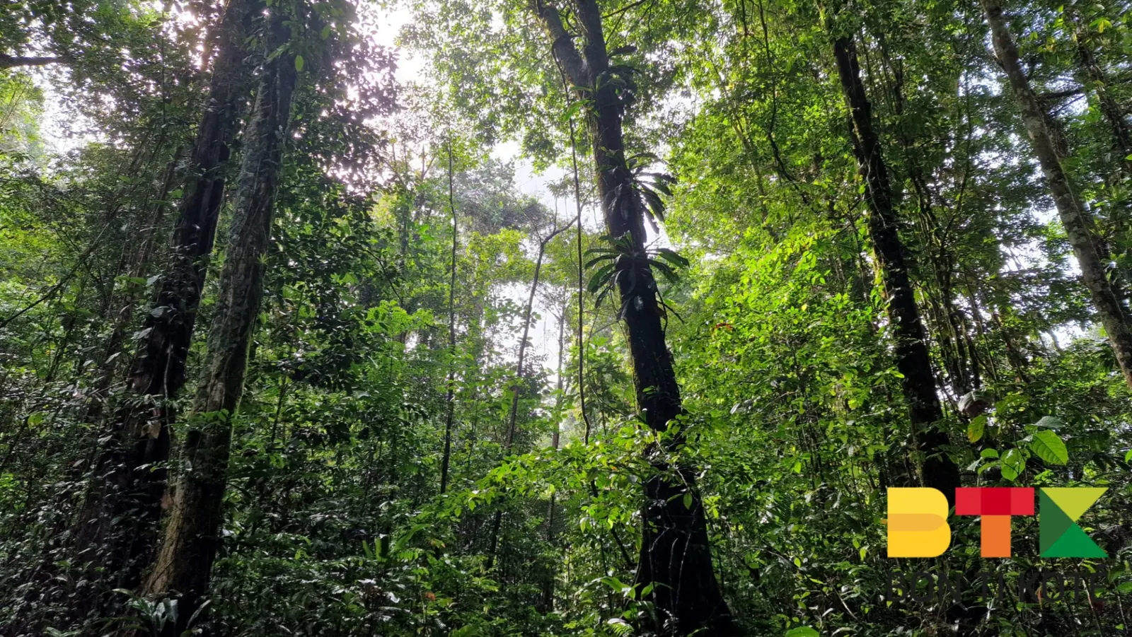  Sentier Molokoi : Une Aventure de 18 Km, Roura — photo 3