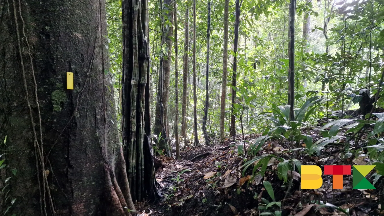  Sentier Molokoi : Une Aventure de 18 Km, Roura — photo 4