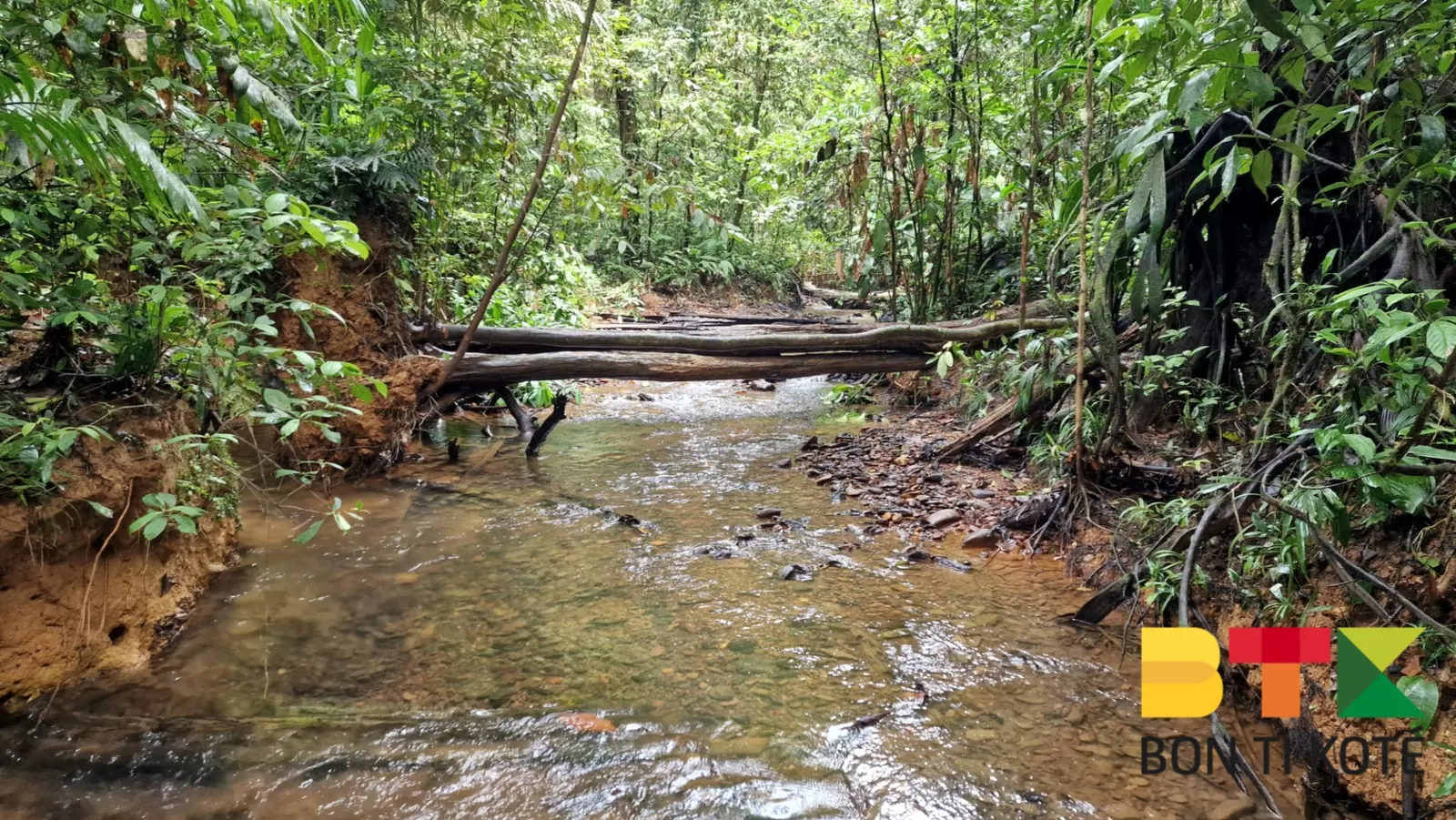  Sentier Molokoi : Une Aventure de 18 Km, Roura — photo 5