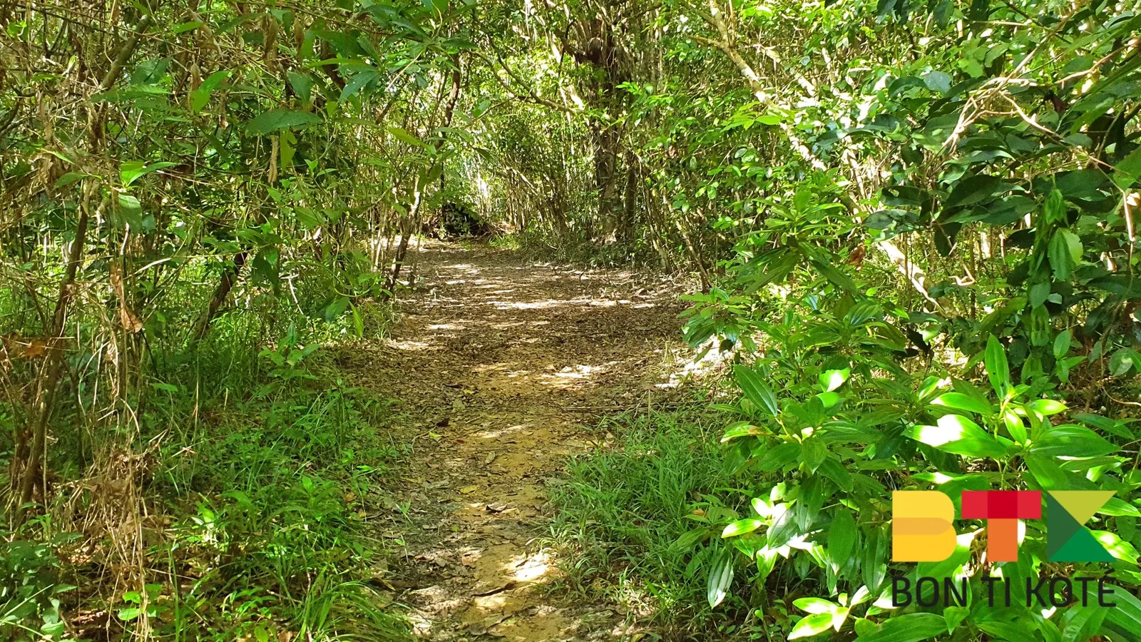 Baignade et détente à la Crique Canceler, Sinnamary — photo 2