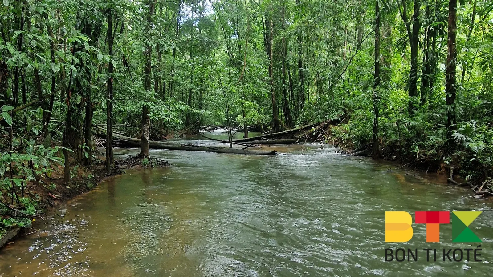 Chute Grillon : Un trésor de Guyane, Roura — photo 4