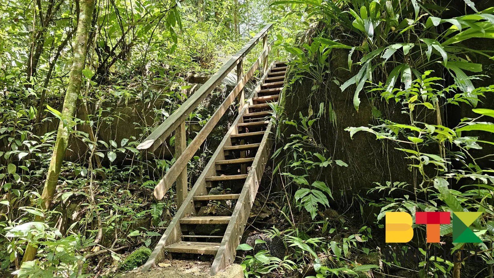 Chutes Fourgassier : un joyau naturel, Roura — photo 4