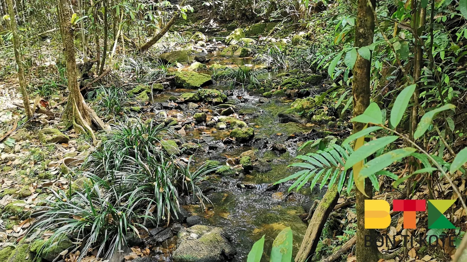 Crique Grégoire: Évasion Paradisiaque en Guyane, Sinnamary — photo 1