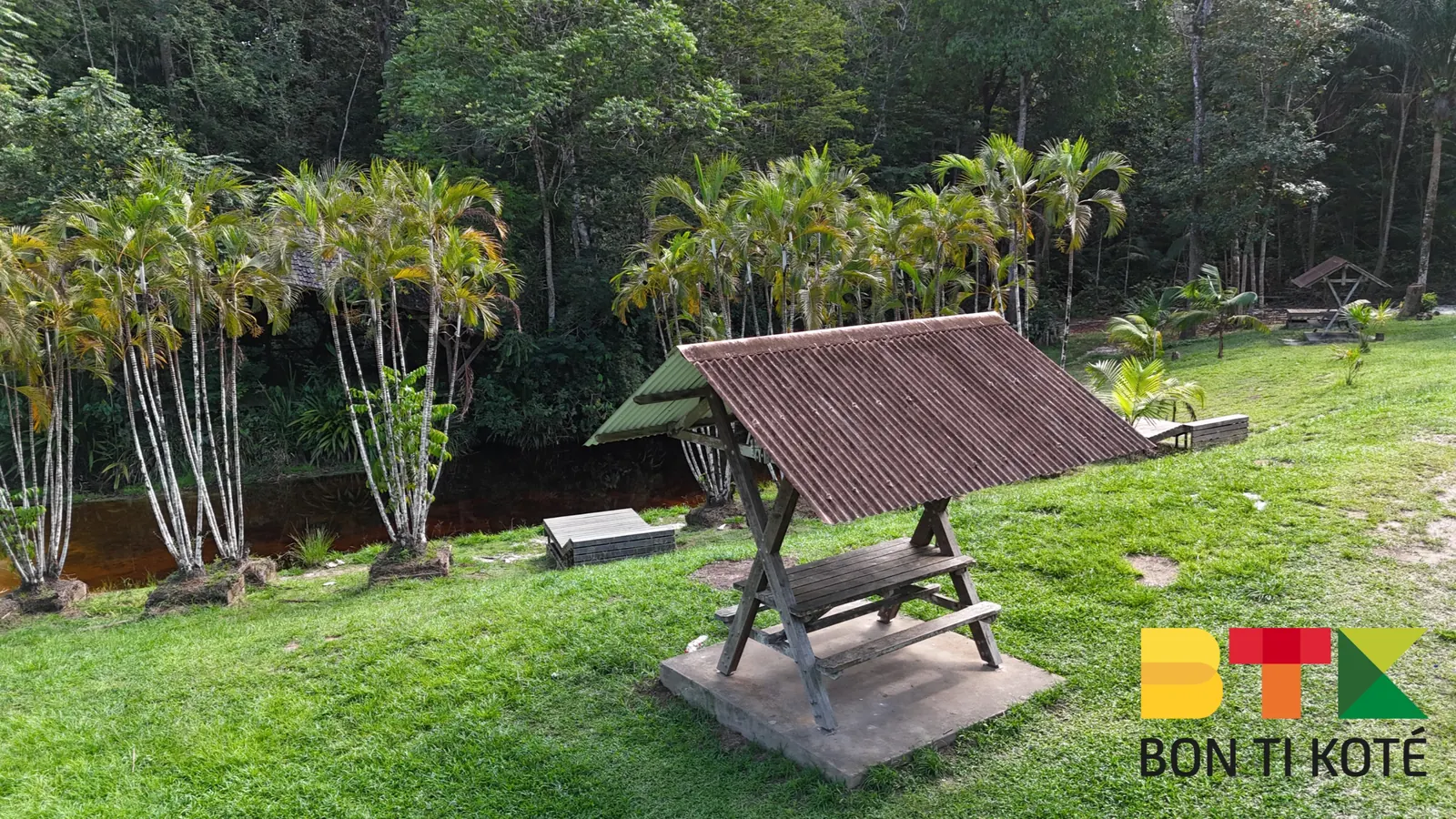 Crique Morpio : Pause Nature en Guyane, Iracoubo — photo 3