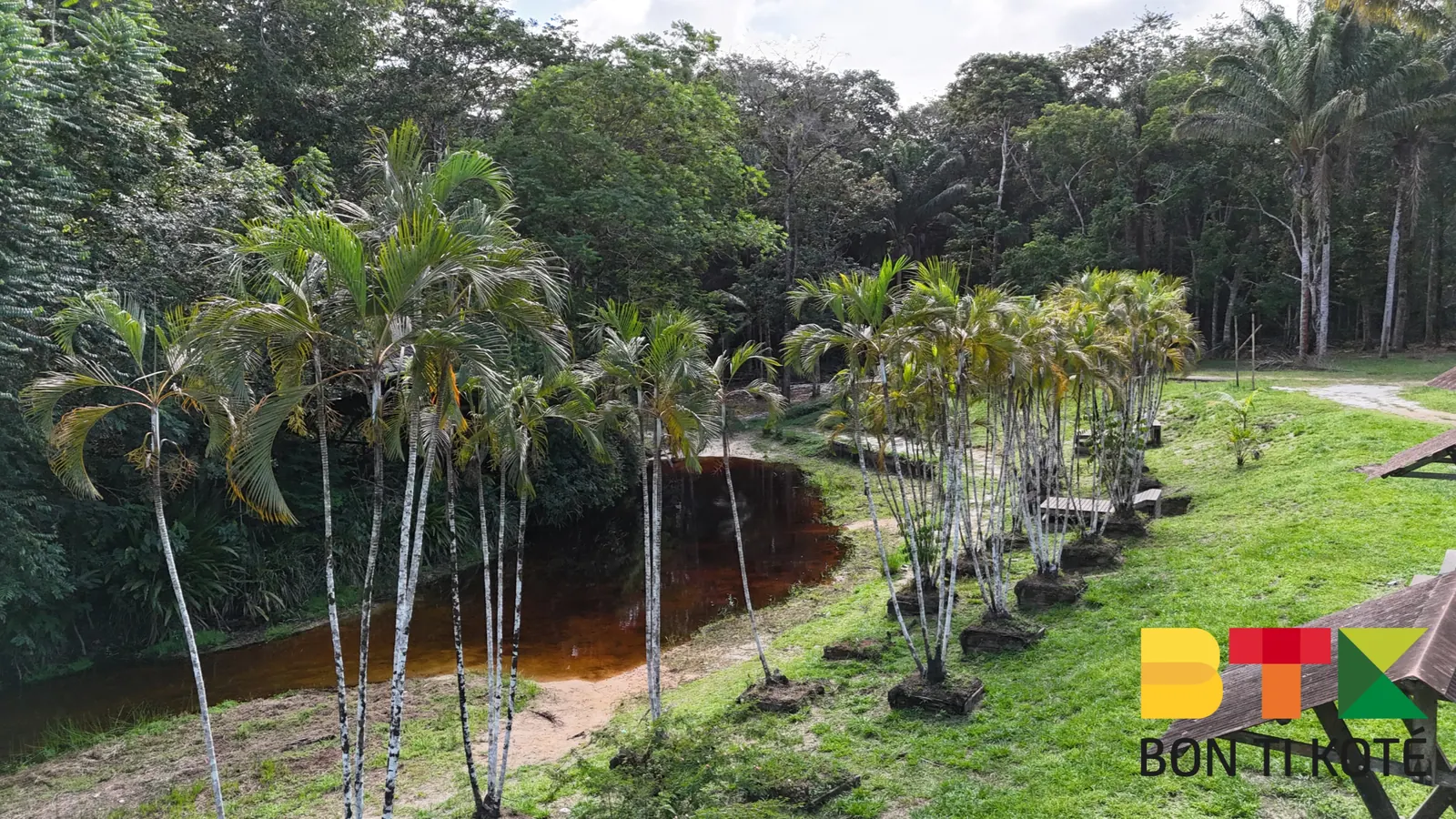 Crique Morpio : Pause Nature en Guyane, Iracoubo — photo 4