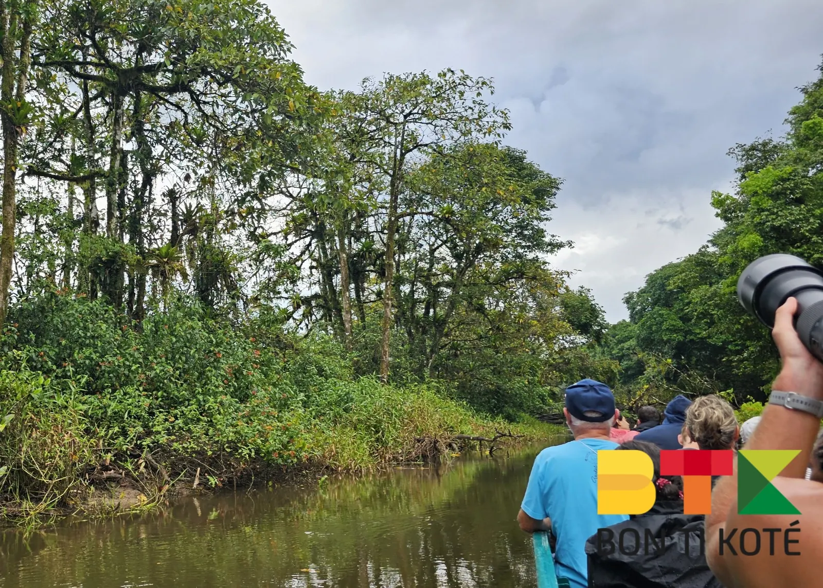 Découverte de la Savane Inondée de Kaw en Guyane, Régina — photo 3