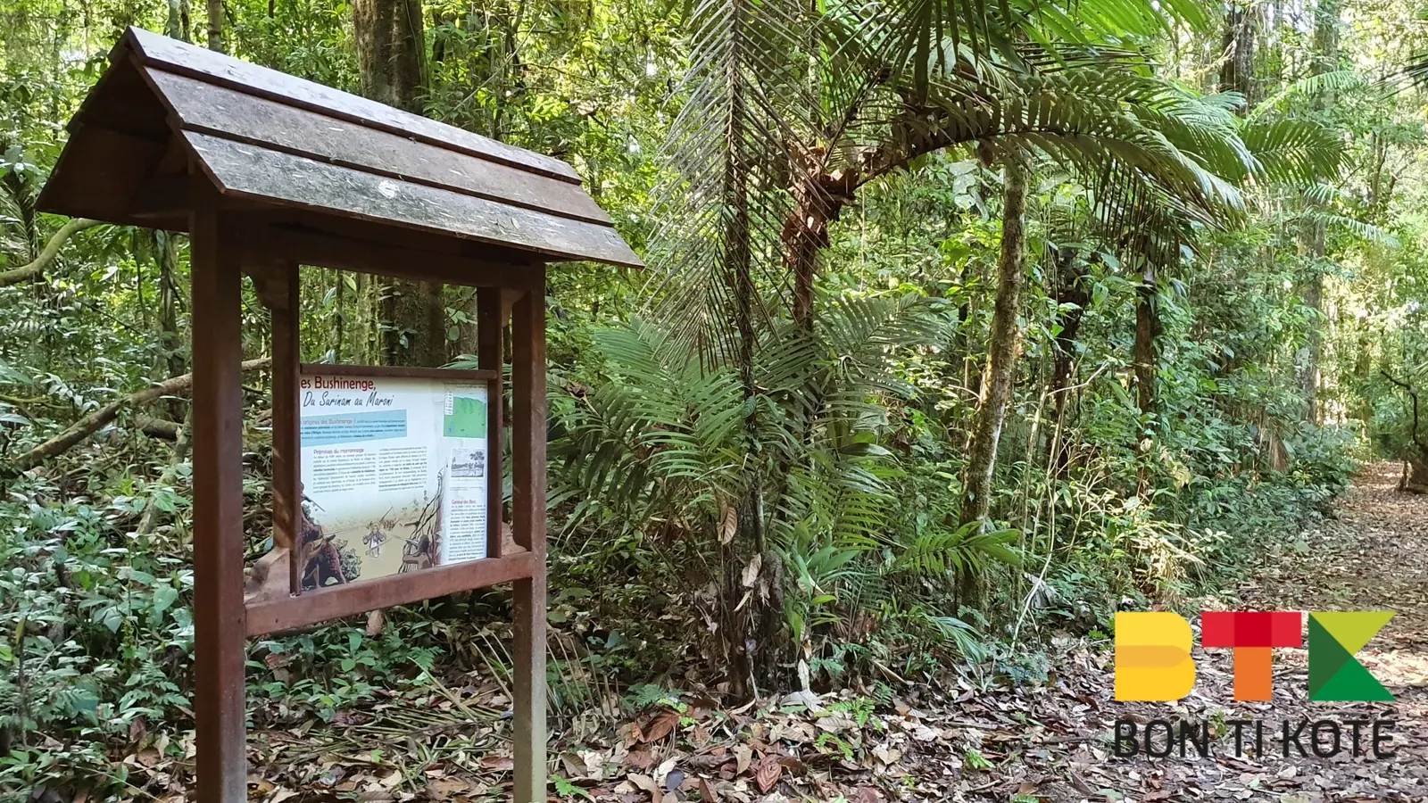 Découverte du Sentier de Gobaya Soula, Maripasoula — photo 3
