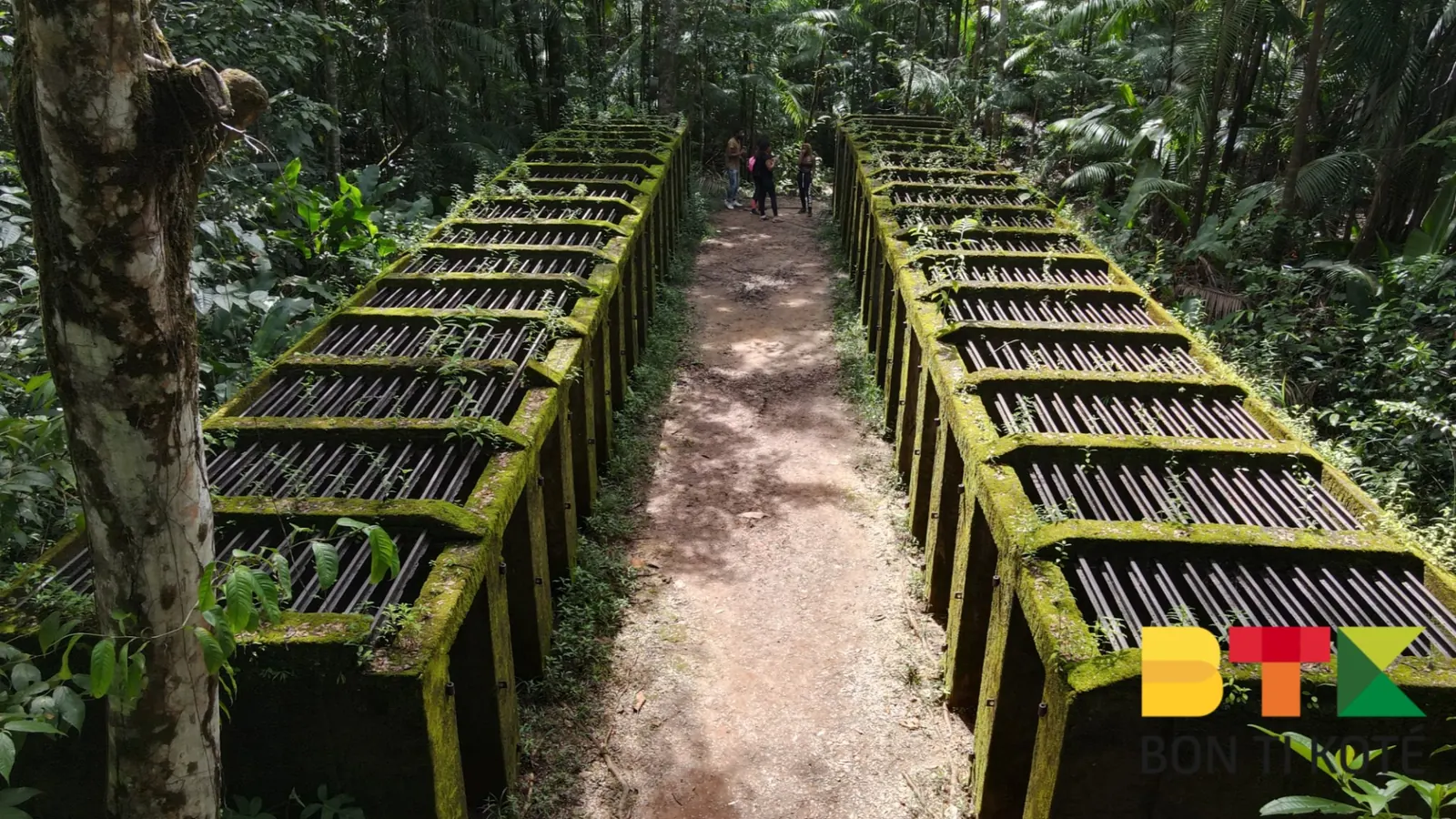 Découvrez le Bagne des Annamites : Un Site Historique Méconnu en Guyane, Montsinéry-Tonnegrande — photo 5