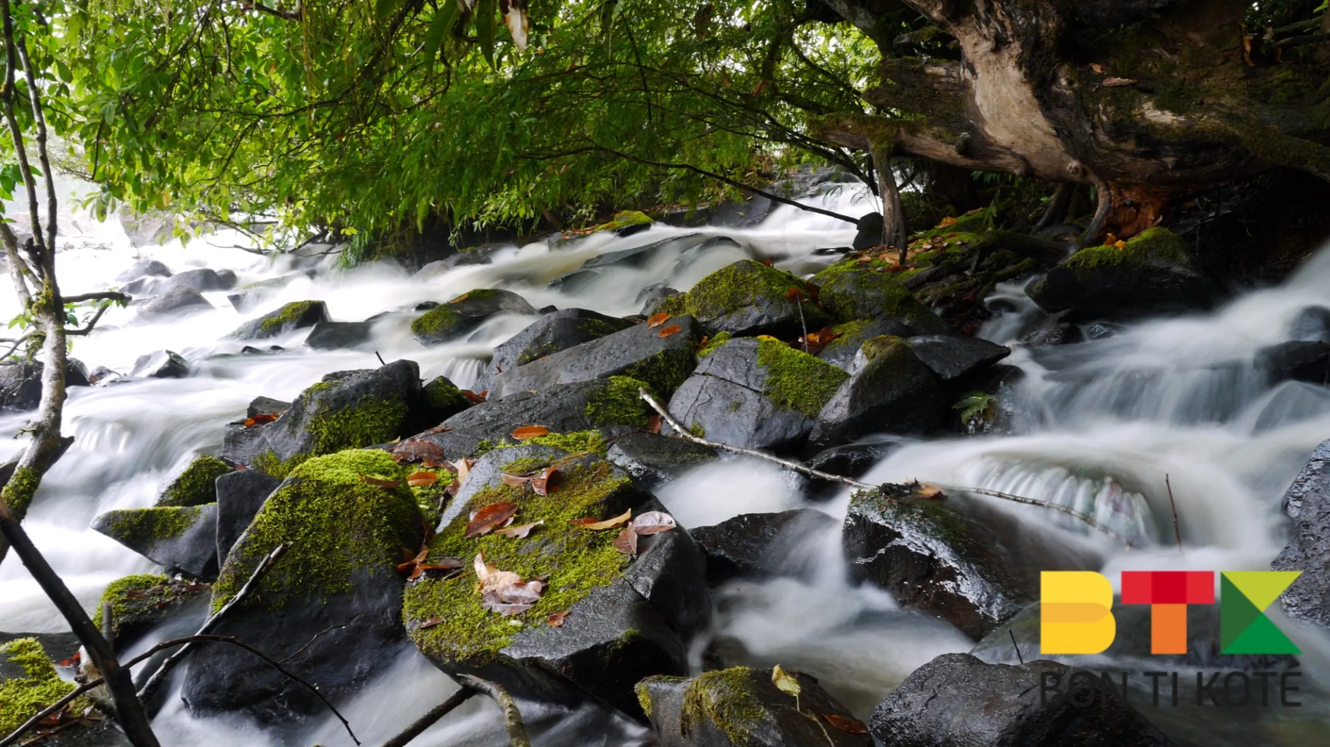 Le saut Takari Tanté