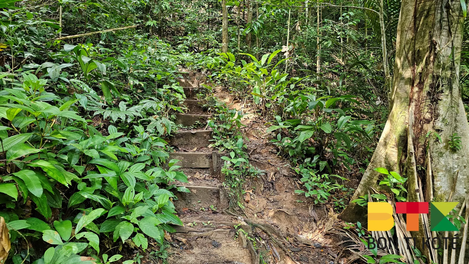 Le Sentier de la Montagne des Singes à Kourou, Kourou — photo 4