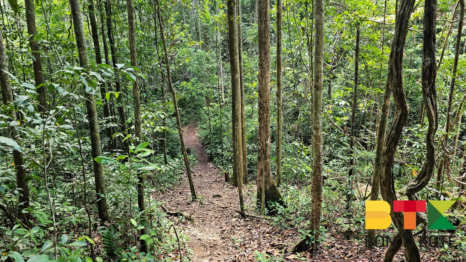 Le Sentier de la Montagne des Singes à Kourou, Kourou — photo 5
