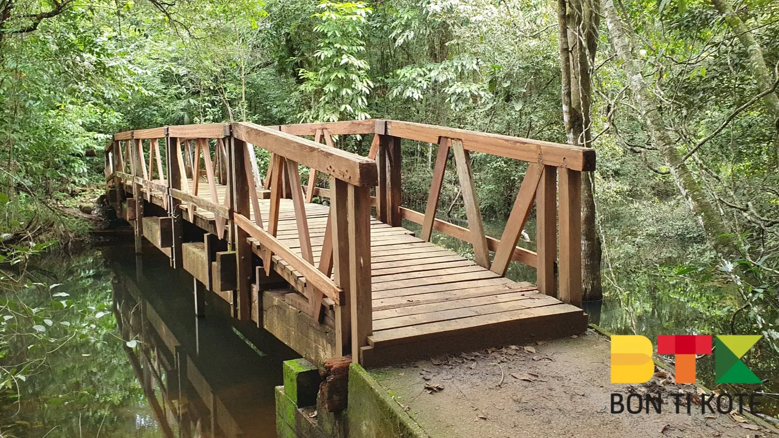 Le sentier du Rorota, parcours à découvrir, Remire-Montjoly — photo 4