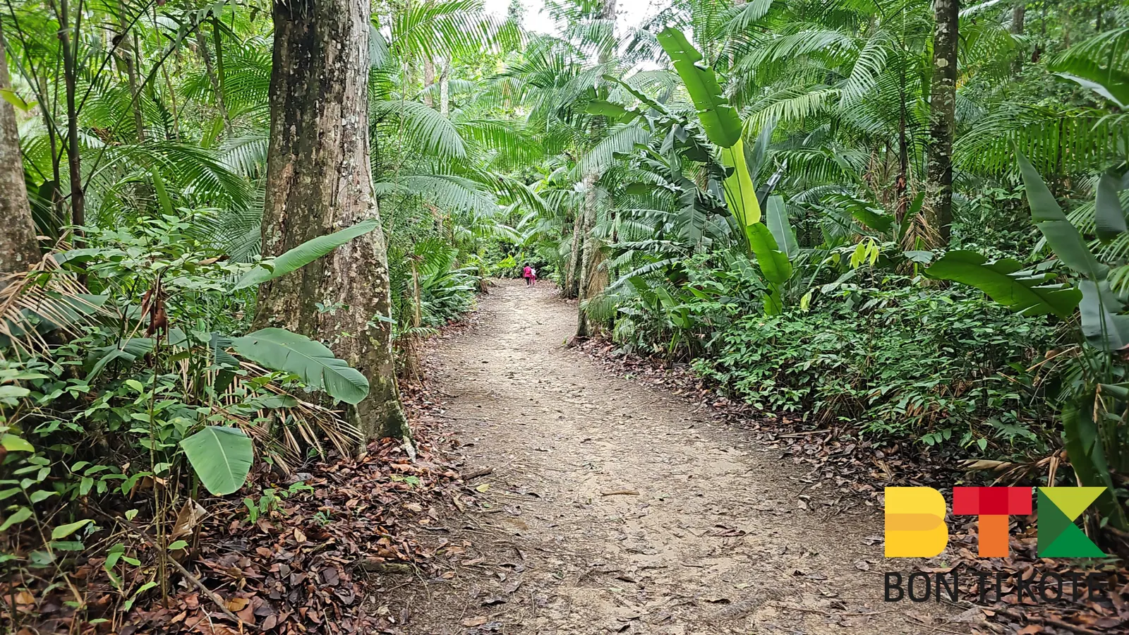 Le sentier nature du Centre Spatial Guyanais, Kourou — photo 2