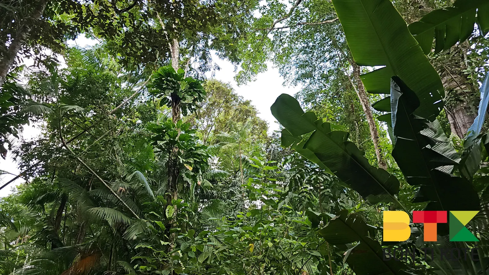 Le sentier nature du Centre Spatial Guyanais, Kourou — photo 5
