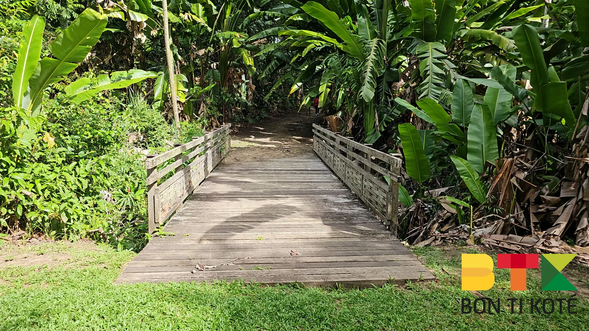 Le sentier nature du Centre Spatial Guyanais