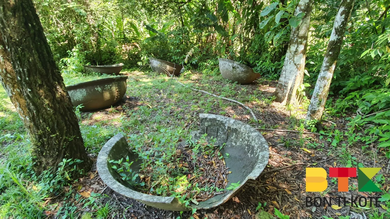 L'habitation Vidal : Un Site Historique de la Guyane, Remire-Montjoly — photo 2