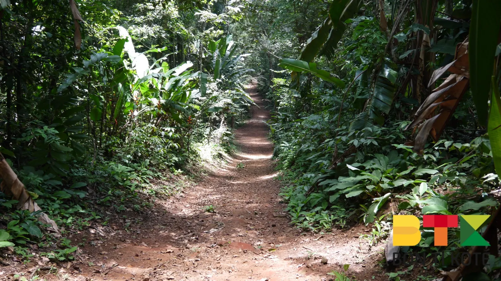 L'habitation Vidal : Un Site Historique de la Guyane, Remire-Montjoly — photo 4