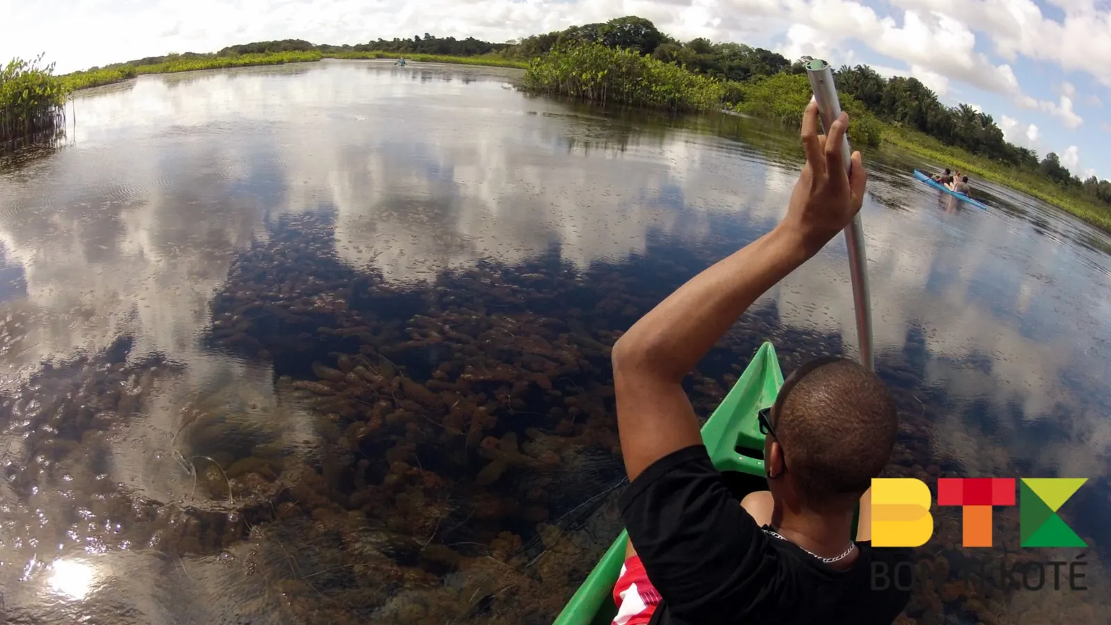 Pripri de Yiyi : un site naturel de Guyane, Sinnamary — photo 2