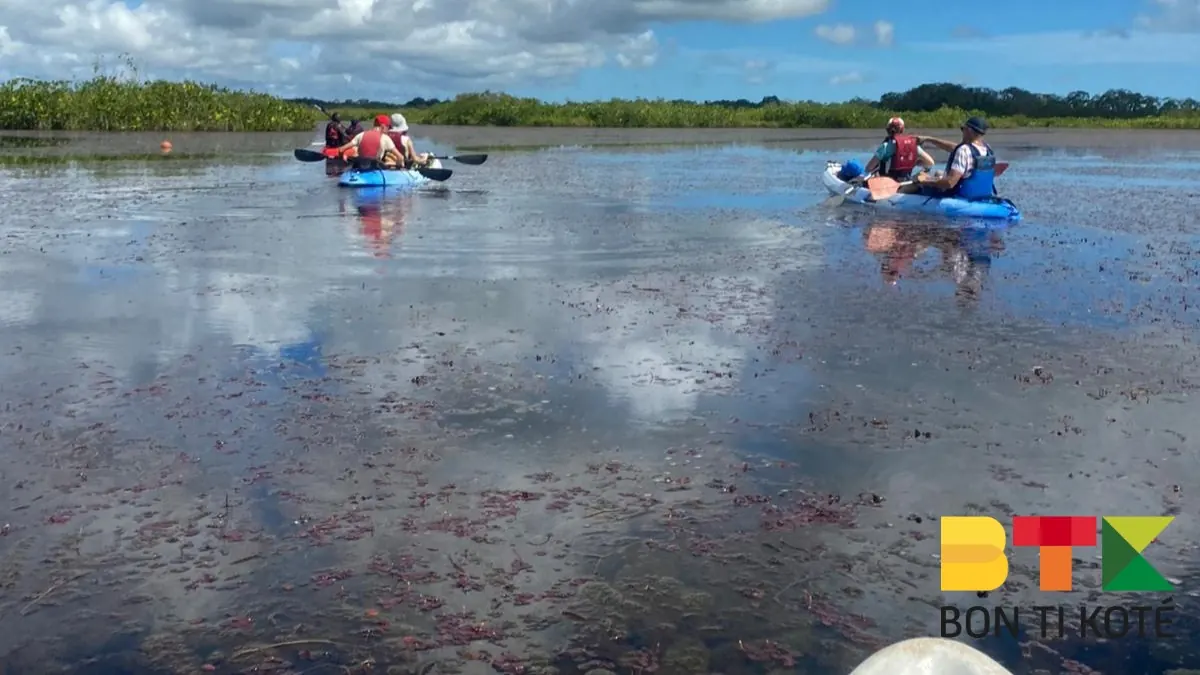 Pripri de Yiyi : un site naturel de Guyane, Sinnamary — photo 3