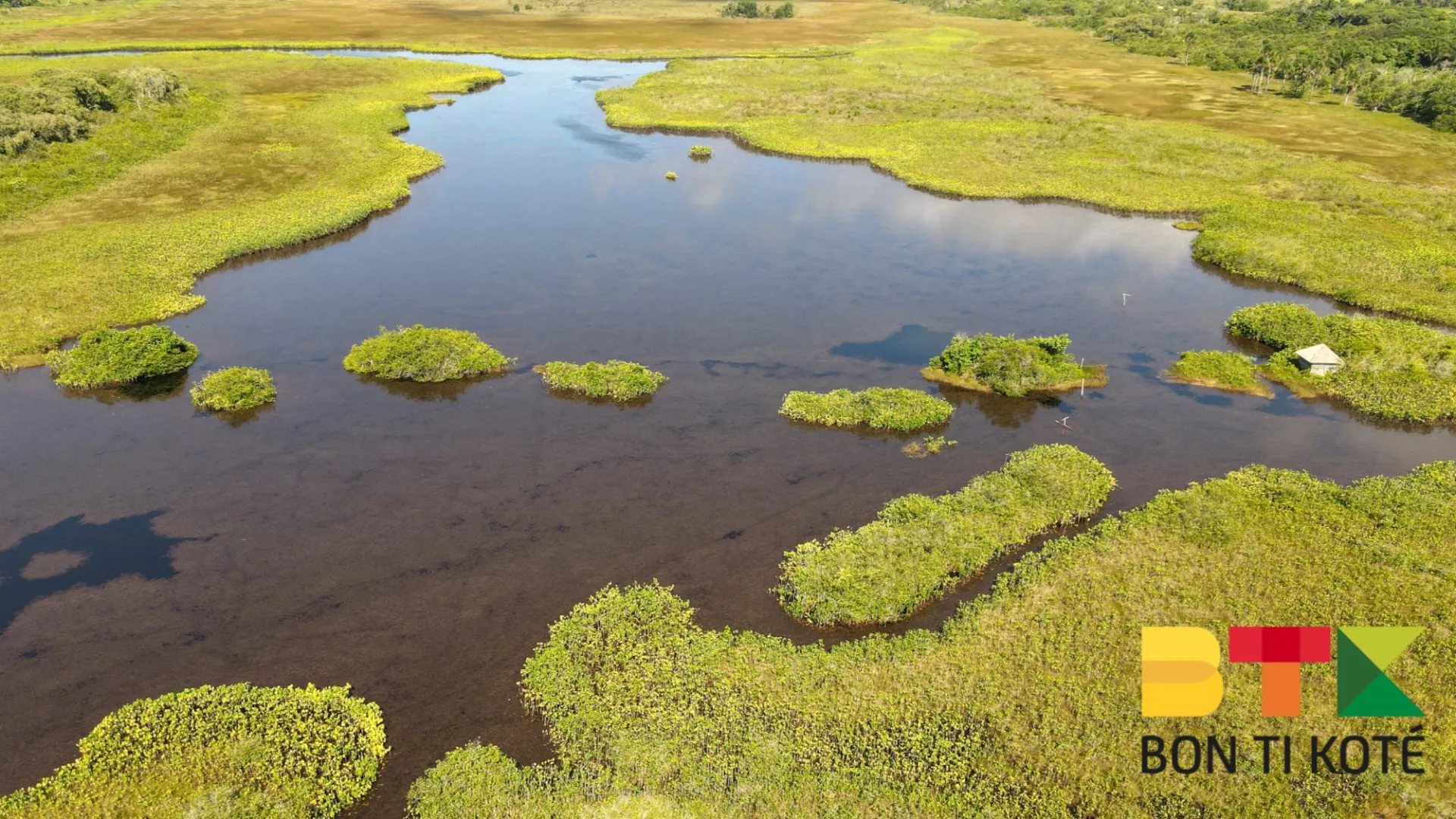 Pripri de Yiyi : un site naturel de Guyane