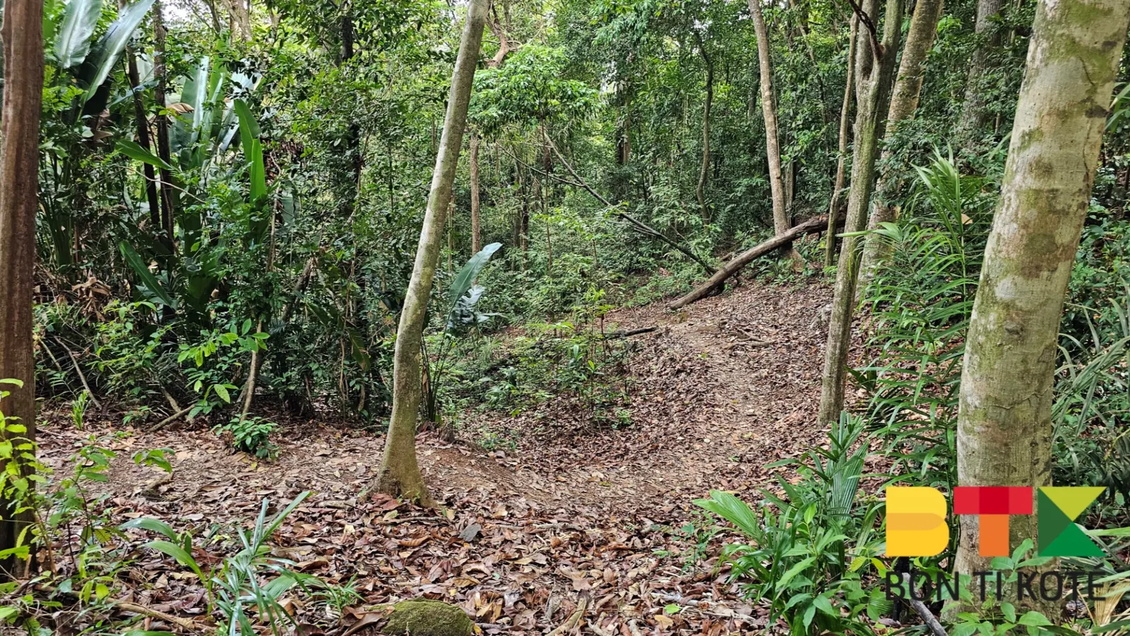Randonnée au Sentier du Mont Bourda : Une Balade Nature à Cayenne, Cayenne — photo 2