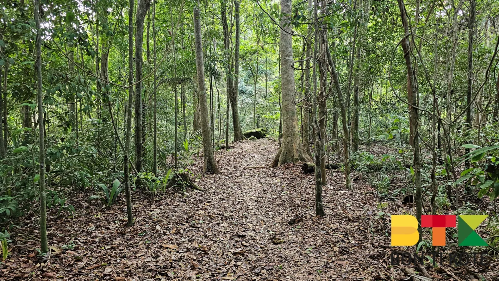 Randonnée au Sentier du Mont Bourda : Une Balade Nature à Cayenne, Cayenne — photo 5