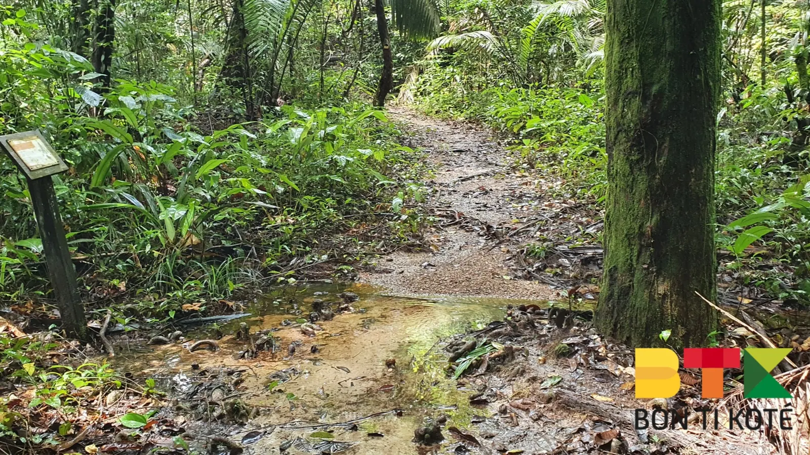 Sentier de la piste de Saint-Elie, Sinnamary — photo 2