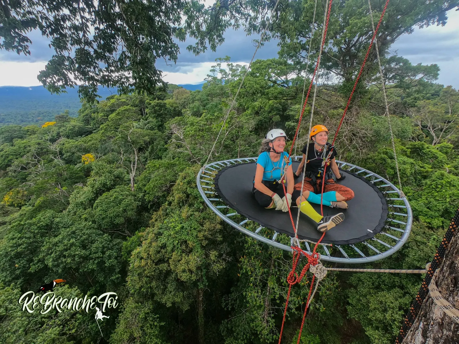 Exploration Grands Arbre Ebene Rose, Rekawnexion PK30 Route de kaw, Roura 97351, French Guiana — photo 2