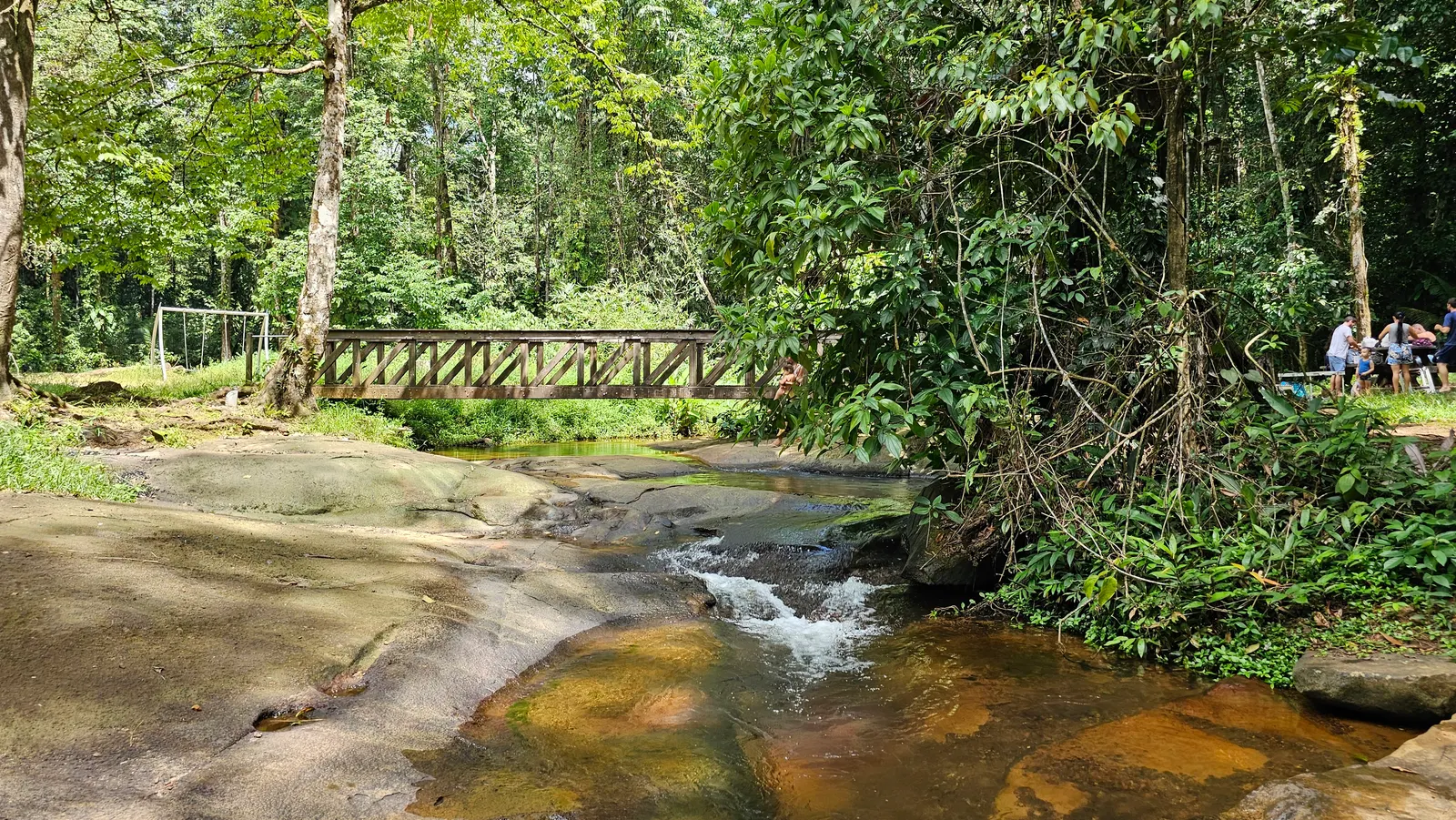 Balade en pirogue & Cascades Fourgassier — Un moment rafraîchissant au cœur de la nature !, Fourgassier, Roura 97352, French Guiana — photo 2