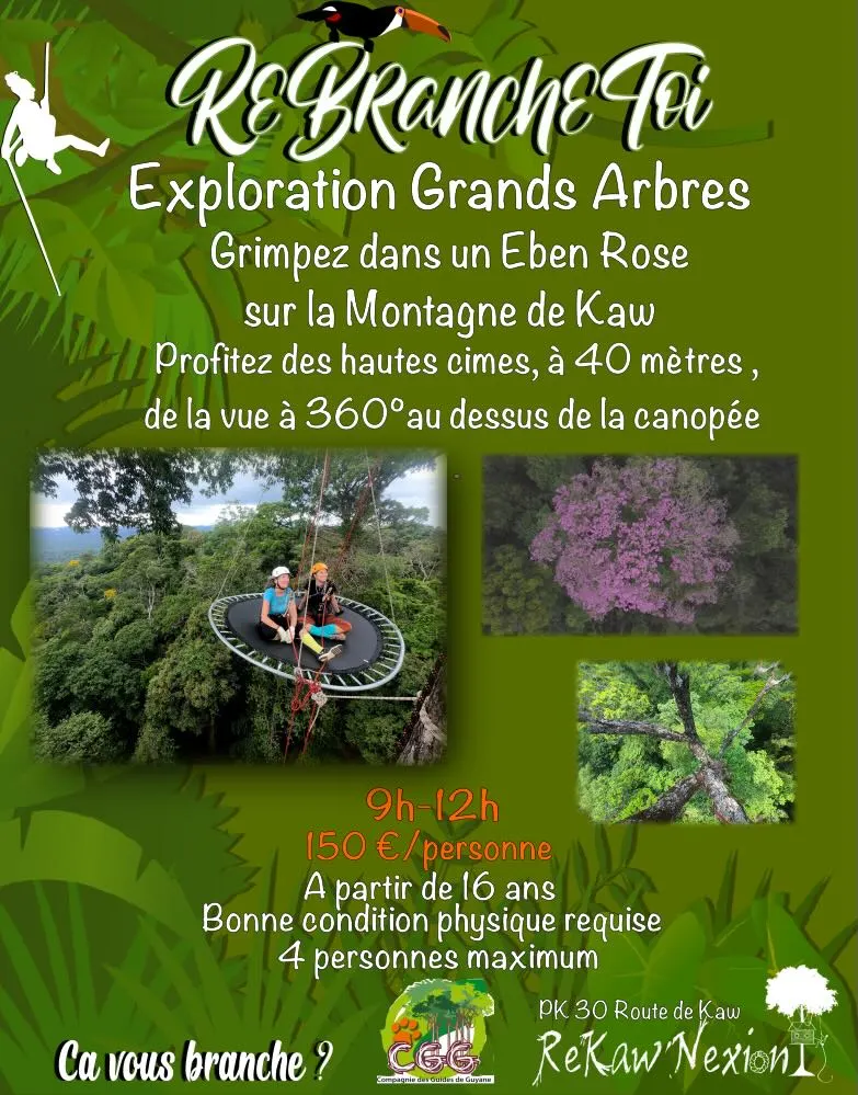Exploration Grands Arbre Ebene Rose, Rekawnexion PK30 Route de kaw, Roura 97351, French Guiana — photo 1